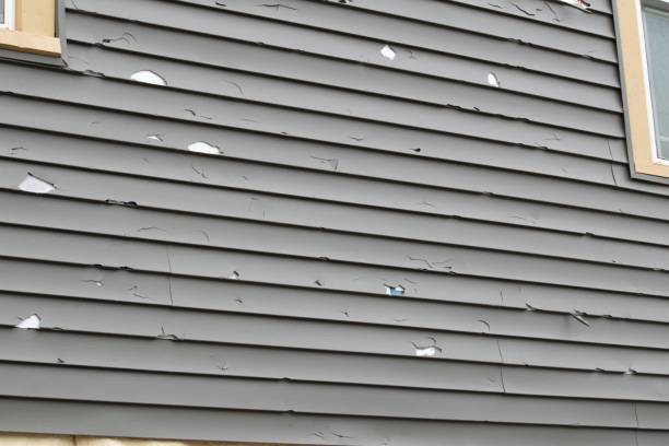 Best Hoarding Cleanup  in Destin, FL